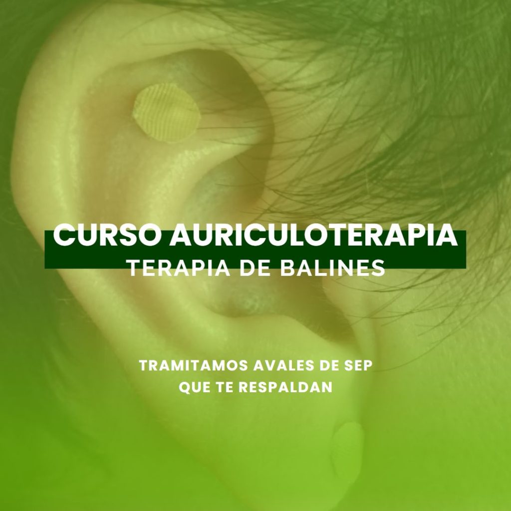 Curso Auriculoterapia en Sonora